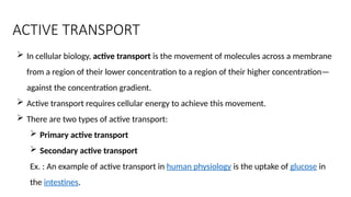 ACTIVE TRANSPORTERS pgp hpept1 (1).pptx. | PPTX