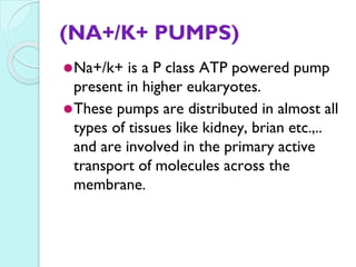 na+/k+ pumps -Active transport mediated by atp powered pumps | PPTX