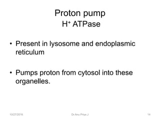 • Present in lysosome and endoplasmic
reticulum
• Pumps proton from cytosol into these
organelles.
Proton pump
H+ ATPase
10/27/2016 14Dr.Anu Priya J
 