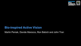 Bio-inspired Active Vision
Martin Peniak, Davide Marocco, Ron Babich and John Tran
 