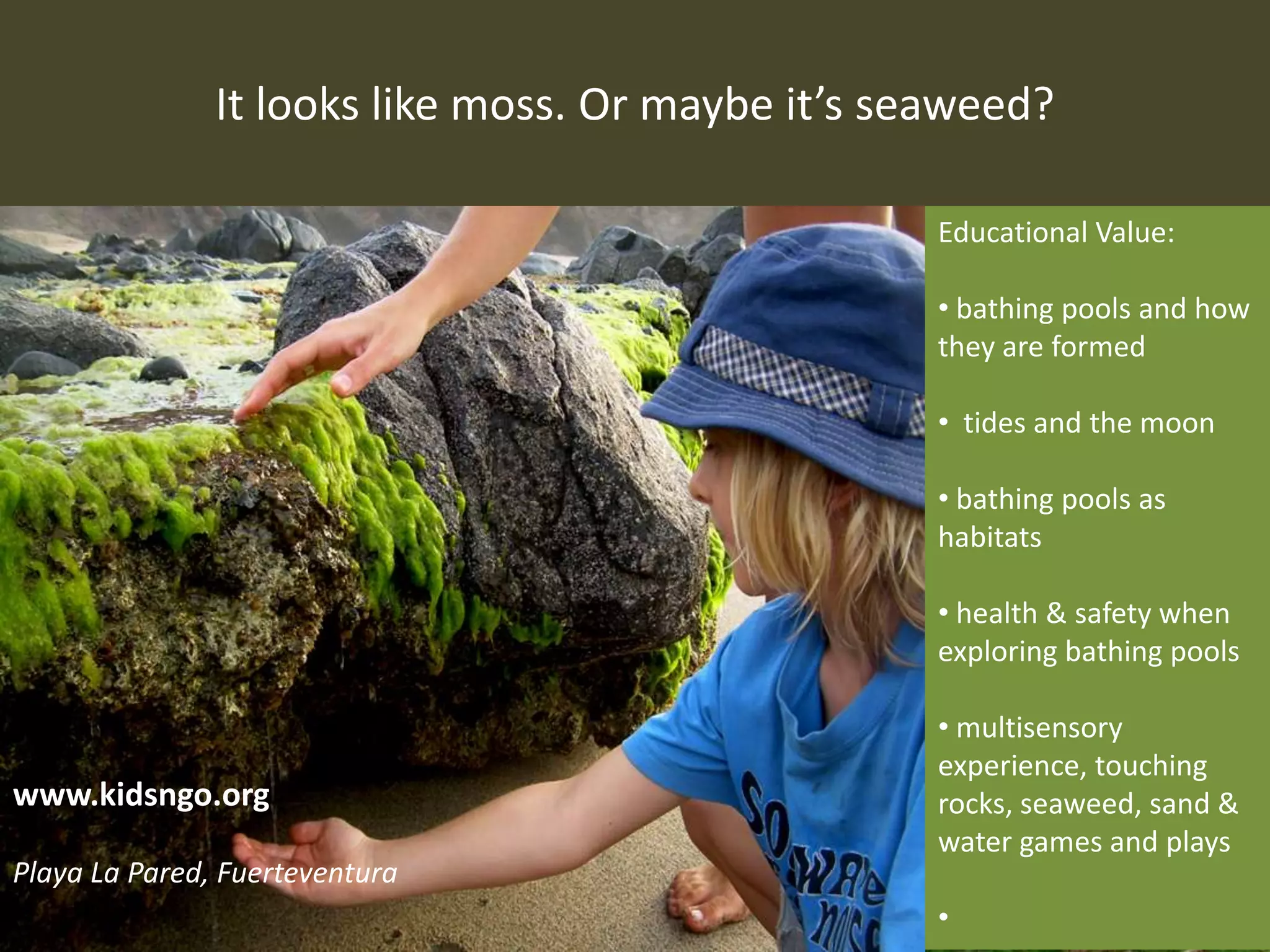 It looks like moss. Or maybe it’s seaweed?
Educational Value:
• bathing pools and how
they are formed
• tides and the moon
• bathing pools as
habitats
• health & safety when
exploring bathing pools
• multisensory
experience, touching
rocks, seaweed, sand &
water games and plays
•
www.kidsngo.org
Playa La Pared, Fuerteventura
 