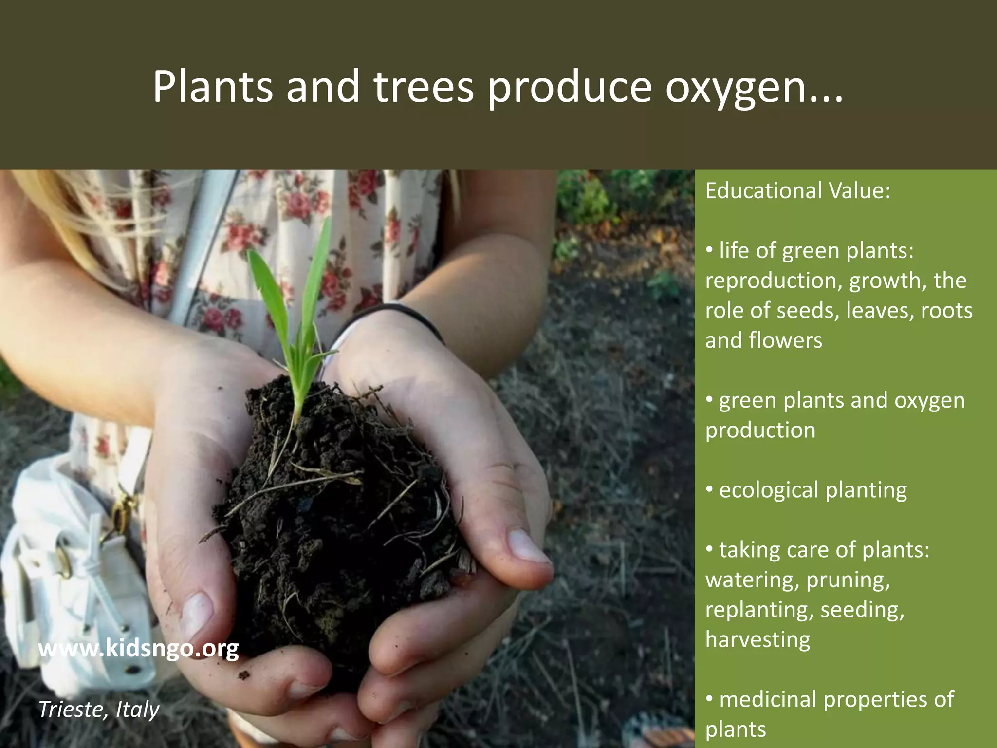 Plants and trees produce oxygen...
Educational Value:
• life of green plants:
reproduction, growth, the
role of seeds, leaves, roots
and flowers
• green plants and oxygen
production
• ecological planting
• taking care of plants:
watering, pruning,
replanting, seeding,
harvesting
• medicinal properties of
plants
www.kidsngo.org
Trieste, Italy
 