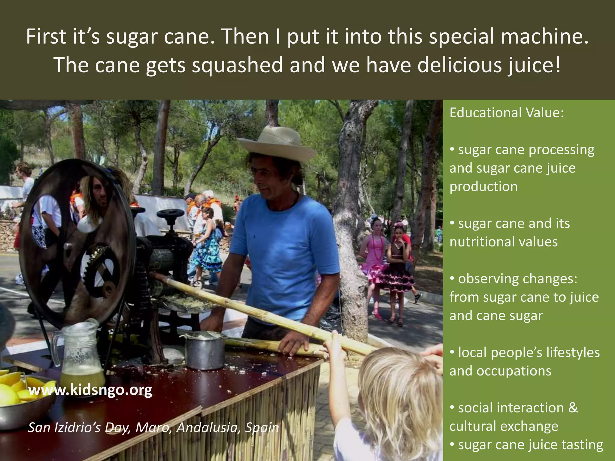 First it’s sugar cane. Then I put it into this special machine.
The cane gets squashed and we have delicious juice!
Educational Value:
• sugar cane processing
and sugar cane juice
production
• sugar cane and its
nutritional values
• observing changes:
from sugar cane to juice
and cane sugar
• local people’s lifestyles
and occupations
• social interaction &
cultural exchange
• sugar cane juice tasting
www.kidsngo.org
San Izidrio’s Day, Maro, Andalusia, Spain
 