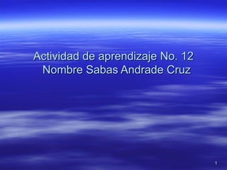 Actividad de aprendizaje No. 12
 Nombre Sabas Andrade Cruz




                                  1
 