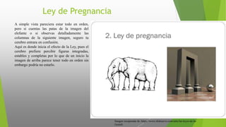 Ley de Pregnancia
A simple vista pareciera estar todo en orden,
pero si cuentas las patas de la imagen del
elefante o si observas detalladamente las
columnas de la siguiente imagen, seguro tu
cerebro entrara en confusión.
Aquí es donde inicia el efecto de la Ley, pues el
cerebro prefiere percibir figuras integradas,
estables y completas por lo que de un inicio la
imagen de arriba parece tener todo en orden sin
embargo podría no estarlo.
Imagen recuperada de: https://www.slideserve.com/taite/las-leyes-de-la-
Gestalt
 
