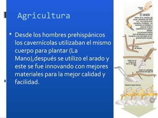 Agricultura

 Desde los hombres prehispánicos
  los cavernícolas utilizaban el mismo
  cuerpo para plantar (La
  Mano),después se utilizo el arado y
  este se fue innovando con mejores
  materiales para la mejor calidad y
  facilidad.
 