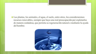  Las plantas, los animales, el agua, el suelo, entre otros, los consideraremos
recursos renovables, siempre que haya una real preocupación por explotarlos
de manera cuidadosa, que permita su regeneración natural o mediante la ayuda
del hombre.
 