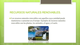 RECURSOS NATURALES RENOVABLES.
 Los recursos naturales renovables son aquellos cuya cantidad puede
mantenerse o aumentar en el tiempo. Ejemplos de recursos naturales
renovables son las plantas, los animales, el agua y el suelo.
 