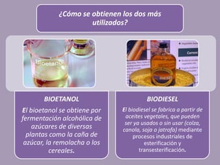 BIOETANOL
El bioetanol se obtiene por
fermentación alcohólica de
azúcares de diversas
plantas como la caña de
azúcar, la remolacha o los
cereales.
BIODIESEL
El biodiesel se fabrica a partir de
aceites vegetales, que pueden
ser ya usados o sin usar (colza,
canola, soja o jatrofa) mediante
procesos industriales de
esterificación y
transesterificación.
¿Cómo se obtienen los dos más
utilizados?
 