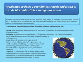 Problemas sociales y económicos relacionados con el
uso de biocombustibles en algunos países.
Algunos países gravemente afectados por el creciente uso de los biocombustibles son:
México, mencionado en el apartado anterior. El precio de la torta de maíz se triplicó creando una grave
crisis alimentaria.
Indonesia. La producción de aceite de Palma es clave en su economía, por ello, cada año millones de
hectáreas de bosque y selva son destruidas para poder cultivar la
palma aceitera.
Brasil . Es uno de los países más importantes de
Latinoamérica, debido a su tamaño y gran economía,
que fabrica biocombustibles, pero mantener la seguridad
alimentaria y producir importantes cantidades de
biocombustibles a largo plazo le resulta prácticamente
imposibles.
Argentina. Se empezaron a usar los pastos con los que se
alimentaba las vacas para la producción de biocombustibles.
La conclusión fue un aumento de precio en la carne de vaca,
duplicando o incluso llegando a triplicar su precio.
Económicamente sale más rentable destinar alimentos como el maíz, la mandioca, la caña de azúcar, la colza,
etc., a la producción de biocombustibles que al consumo de la población. Por ello los precios de los alimentos
básicos en algunos países han aumentado.
 
