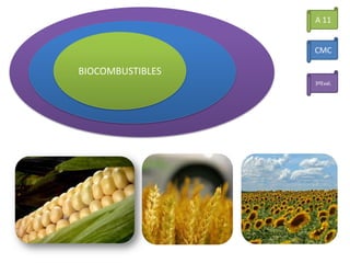 BIOCOMBUSTIBLES
A 11
CMC
3ºEval.
 