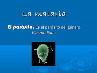 La malariaLa malaria
El parásito.El parásito. Es el parásito del géneroEs el parásito del género
PlasmodiumPlasmodium..
 