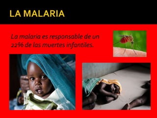 La malaria es responsable de un
22% de las muertes infantiles.
 