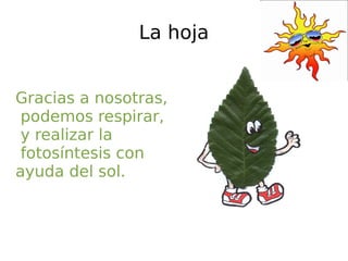 La hoja Gracias a nosotras, podemos respirar, y realizar la fotosíntesis con  ayuda del sol. 