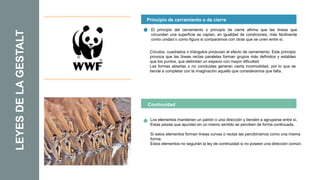 LEYES
DE
LA
GESTALT Principio de cerramiento o de cierre
Continuidad
El principio del cerramiento o principio de cierre afirma que las líneas que
circundan una superficie se captan, en igualdad de condiciones, más fácilmente
como unidad o como figura si comparamos con otras que se unen entre sí.
Círculos, cuadrados o triángulos producen el efecto de cerramiento. Este principio
provoca que las líneas rectas paralelas forman grupos más definidos y estables
que los puntos, que delimitan un espacio con mayor dificultad.
Las formas abiertas o no concluidas generan cierta incomodidad, por lo que se
tiende a completar con la imaginación aquello que consideramos que falta.
Los elementos mantienen un patrón o una dirección y tienden a agruparse entre sí.
Estas piezas que apuntan en un mismo sentido se perciben de forma continuada.
Si estos elementos forman líneas curvas o rectas las percibiríamos como una misma
forma.
Estos elementos no seguirán la ley de continuidad si no poseen una dirección común.
 