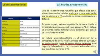 Lee el siguiente texto: Las heladas, causas y efectos
Uno de los fenómenos naturales que afecta a las zonas
altoandinas son las heladas, dado que la temperatura del
aire desciende a 0 °C o valores menores en ciertos meses
del año.
En nuestro país, existen regiones de la sierra donde la
temperatura mínima normal es debajo de 0 °C. El peligro
se presenta cuando la temperatura desciende por debajo
de sus valores normales.
La helada agrometeorológica es el descenso de la
temperatura del aire a niveles críticos para los cultivos, y
en consecuencia, mata los tejidos de los vegetales. Esto
depende del nivel crítico de temperatura de cada cultivo,
que puede ser mayor de 0 °C.
 