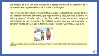 Las heladas se dan con cielo despejado o escasa nubosidad. El descenso de la
temperatura se registra en horas de la noche o madrugada.
“Sus efectos en agricultura son catastróficos, pues a las bajas temperaturas del aire
se superpone el efecto del viento, que llega muy frío y seco, robando el calor a los
tallos y plantas” (García, 1962, p. 8), “los cuales toman un aspecto negro al
marchitarse, de ahí el nombre de ‘heladas negras’ con que normalmente se
designa” (Baeza, 1993, p. 39). (Citas tomadas de Rosales y Caminada, 2015, p. 3).
• Fuentes:
• Rosales, S. y Caminada, R. (2015). El eterno retorno del fenómeno de las heladas en el Perú: ¿Existen adecuadas políticas para combatir dicho fenómeno en el Perú?
https://derecho.usmp.edu.pe/instituto/inv_centros/2015/ el_eterno_retorno_del_fenomeno.pdf • Senamhi. (s. f.) Heladas y friajes / Preguntas frecuentes. https://www.senamhi.gob.pe/?p=heladas-y-
friajespreguntas.
 