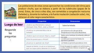 Las poblaciones de estas zonas aprovechan las condiciones del clima para
producir chuño, que se elabora a partir de los tubérculos (papas de la
zona). Estos, de cinco a diez días, son sometidos a congelación nocturna
(heladas) y, durante la mañana, a la fuerte insolación (radiación solar). Así,
obtienen el color negro característico.
Luego de leer
Responde
las
preguntas
:
Sobre las heladas
por la disminución abrupta de las
temperaturas en las zonas altoandinas.
Sobre como mantener el ambiente cálido en
sus casas.
Los daños que ocasionan las heladas a la
agricultura y ganadería.
Las heladas se aprovecha para elaborar chuño.
Primero las papas se congelan en la noche durante 5
o 10 días y durante las mañanas se exponen a la
fuerte radiación.
 