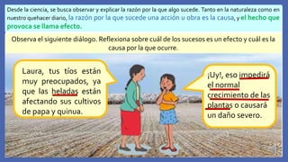 Desde la ciencia, se busca observar y explicar la razón por la que algo sucede. Tanto en la naturaleza como en
nuestro quehacer diario, la razón por la que sucede una acción u obra es la causa, y el hecho que
provoca se llama efecto.
Observa el siguiente diálogo. Reflexiona sobre cuál de los sucesos es un efecto y cuál es la
causa por la que ocurre.
Laura, tus tíos están
muy preocupados, ya
que las heladas están
afectando sus cultivos
de papa y quinua.
¡Uy!, eso impedirá
el normal
crecimiento de las
plantas o causará
un daño severo.
 