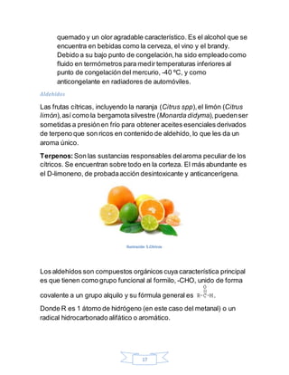 17
quemado y un olor agradable característico. Es el alcohol que se
encuentra en bebidas como la cerveza, el vino y el brandy.
Debido a su bajo punto de congelación,ha sido empleado como
fluido en termómetros para medir temperaturas inferiores al
punto de congelacióndel mercurio, -40 ºC, y como
anticongelante en radiadores de automóviles.
Aldehídos
Las frutas cítricas, incluyendo la naranja (Citrus spp),el limón (Citrus
limón),así como la bergamotasilvestre (Monarda didyma),puedenser
sometidas a presiónen frío para obtener aceites esenciales derivados
de terpeno que son ricos en contenido de aldehído, lo que les da un
aroma único.
Terpenos: Son las sustancias responsables delaroma peculiar de los
cítricos. Se encuentran sobre todo en la corteza. El más abundante es
el D-limoneno, de probadaacción desintoxicante y anticancerígena.
Ilustración 5.Cítricos
Los aldehídos son compuestos orgánicos cuya característica principal
es que tienen como grupo funcional al formilo, -CHO, unido de forma
covalente a un grupo alquilo y su fórmula general es .
Donde R es 1 átomo de hidrógeno (en este caso del metanal) o un
radical hidrocarbonado alifático o aromático.
 