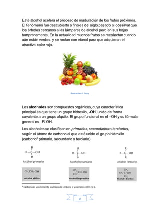 14
Este alcohol acelera el proceso de maduración de los frutos próximos.
El fenómeno fue descubierto a finales del siglo pasado al observarque
los árboles cercanos a las lámparas de alcohol perdían sus hojas
tempranamente. En la actualidad muchos frutos se recolectancuando
aún están verdes, y se rocían con etanol para que adquieran el
atractivo colorrojo.
Ilustración 4. Fruta
Los alcoholes soncompuestos orgánicos,cuya característica
principal es que tiene un grupo hidroxilo, -OH, unido de forma
covalente a un grupo alquilo. El grupo funcional es el –OH y su fórmula
general es R-OH.
Los alcoholes se clasifican en primarios,secundarioso terciarios,
segúnel átomo de carbono al que esté unido el grupo hidroxilo
(carbono6
primario, secundario o terciario).
6 Carbono es un elemento químico de símbolo C y número atómico 6.
 