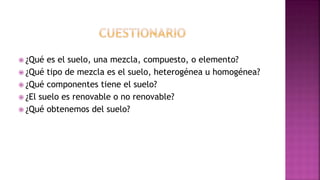  ¿Qué es el suelo, una mezcla, compuesto, o elemento?
 ¿Qué tipo de mezcla es el suelo, heterogénea u homogénea?
 ¿Qué componentes tiene el suelo?
 ¿El suelo es renovable o no renovable?
 ¿Qué obtenemos del suelo?
 