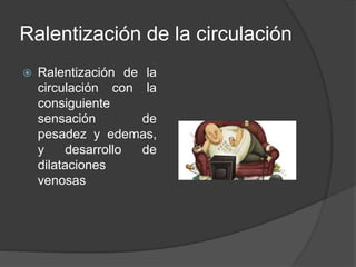 Ralentización de la circulación
 Ralentización de la
circulación con la
consiguiente
sensación de
pesadez y edemas,
y desarrollo de
dilataciones
venosas
 