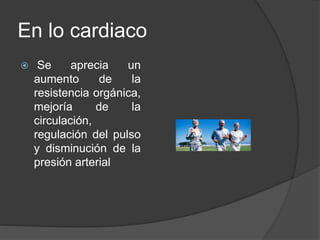 En lo cardiaco
 Se aprecia un
aumento de la
resistencia orgánica,
mejoría de la
circulación,
regulación del pulso
y disminución de la
presión arterial
 