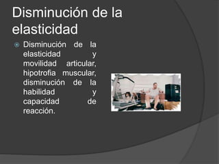 Disminución de la
elasticidad
 Disminución de la
elasticidad y
movilidad articular,
hipotrofia muscular,
disminución de la
habilidad y
capacidad de
reacción.
 