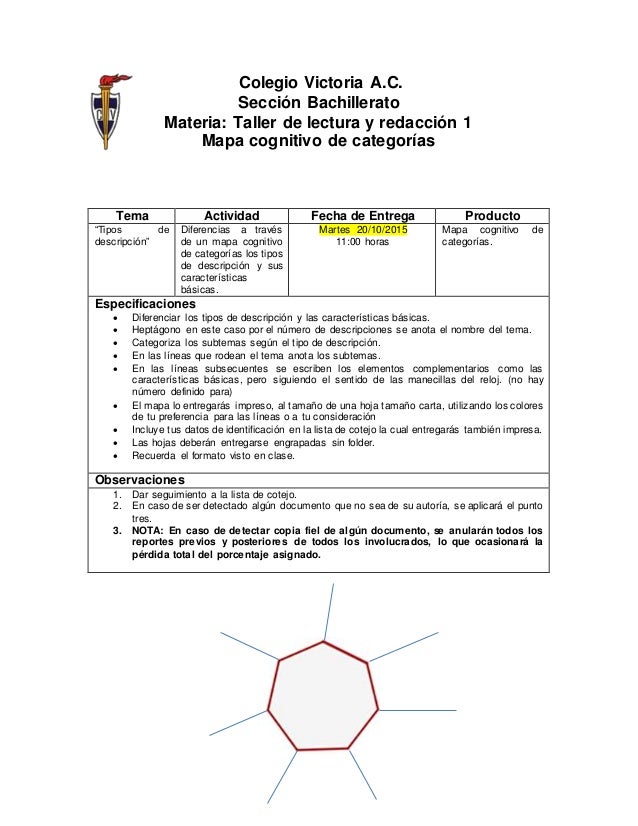 Actividad mapa cognitivo de categorías