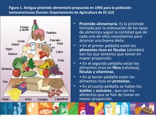 Figura 1. Antigua pirámide alimentaria propuesta en 1992 para la población norteamericana (fuente: Departamento de Agricultura de EE UU) Pirámide alimentaría . Es la pirámide formada por la ordenación de los tipos de alimentos según la cantidad que de cada uno de ellos necesitamos para alcanzar una buena dieta.  •  En el primer peldaño están los  alimentos ricos en féculas  (almidón). Son los que tenemos que tomar en mayor proporción.  •  En el segundo peldaño están los alimentos ricos en  fibra  (celulosa),  féculas y vitaminas .  •  En el tercer peldaño están los alimentos ricos en  proteínas .  •  En el cuarto peldaño se hallan los  aceites  y  azúcares  , que son los alimentos que se han de tomar en menor proporción.  