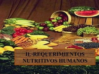 II.-REQUERIMIENTOS NUTRITIVOS HUMANOS 