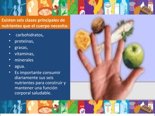 Existen seis clases principales de nutrientes que el cuerpo necesita: carbohidratos, proteínas,  grasas,  vitaminas,  minerales  agua.  Es importante consumir diariamente sus seis nutrientes para construir y mantener una función corporal saludable. 