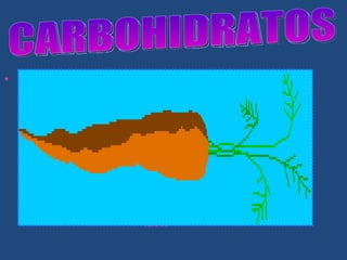 La función principal de los carbohidratos es proporcionar energía para llevar a cabo las funciones del cuerpo y proporciona el calor para mantener la temperatura corporal. SU CLASIFICACION: Monosacáridos o azúcares simples  frutas, verduras, miel de abeja o de maíz   Disacáridos o azúcares dobles  betabel, leche, azúcar de caña o de maple Polisacáridos o azúcares complejos  cereales, granos, leguminosas, pastas, tubérculos, pan,  tortilla CARBOHIDRATOS 