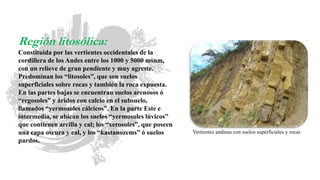 Vertientes andinas con suelos superficiales y rocas
Región litosólica:
Constituida por las vertientes occidentales de la
c...