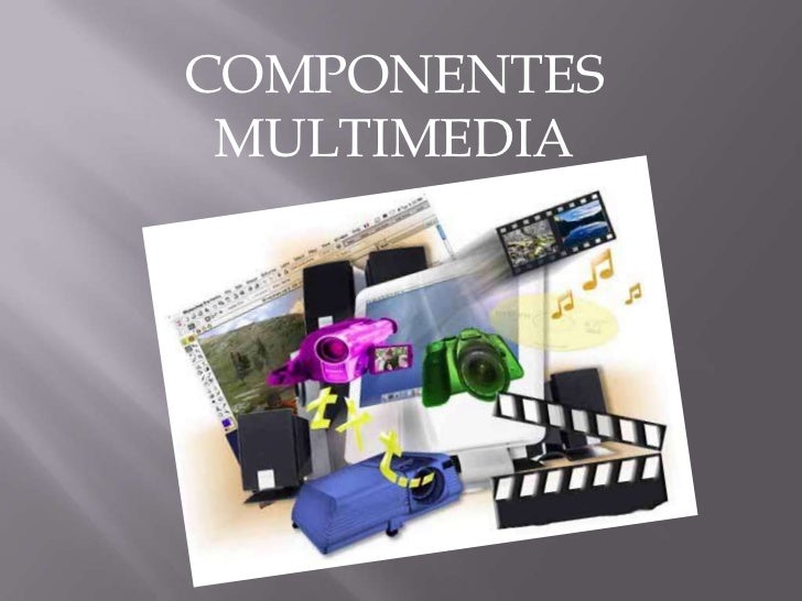 componentes de la multimedia