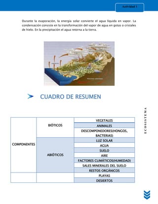Actividad 1



    Durante la evaporación, la energía solar convierte el agua líquida en vapor. La
    condensación consiste en la transformación del vapor de agua en gotas o cristales
    de hielo. En la precipitación el agua retorna a la tierra.




                  CUADRO DE RESUMEN




                                                                                         ECOSISTEMA
                                                             VEGETALES
                        BIÓTICOS                             ANIMALES
                                                 DESCOMPONEDORES(HONGOS,
                                                             BACTERIAS)
                                                             LUZ SOLAR
COMPONENTES                                                      AGUA
                                                                 SUELO
                       ABIÓTICOS                                  AIRE
                                               FACTORES CLIMÁTICOS(HUMEDAD)
                                                  SALES MINERALES DEL SUELO
                                                        RESTOS ORGÁNICOS
                                                                 PLAYAS
                                                             DESIERTOS
 