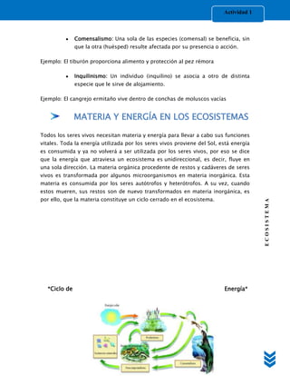 Actividad 1



              Comensalismo: Una sola de las especies (comensal) se beneficia, sin
              que la otra (huésped) resulte afectada por su presencia o acción.

Ejemplo: El tiburón proporciona alimento y protección al pez rémora

              Inquilinismo: Un individuo (inquilino) se asocia a otro de distinta
              especie que le sirve de alojamiento.

Ejemplo: El cangrejo ermitaño vive dentro de conchas de moluscos vacías


              MATERIA Y ENERGÍA EN LOS ECOSISTEMAS

Todos los seres vivos necesitan materia y energía para llevar a cabo sus funciones
vitales. Toda la energía utilizada por los seres vivos proviene del Sol, está energía
es consumida y ya no volverá a ser utilizada por los seres vivos, por eso se dice
que la energía que atraviesa un ecosistema es unidireccional, es decir, fluye en
una sola dirección. La materia orgánica procedente de restos y cadáveres de seres
vivos es transformada por algunos microorganismos en materia inorgánica. Esta
materia es consumida por los seres autótrofos y heterótrofos. A su vez, cuando
estos mueren, sus restos son de nuevo transformados en materia inorgánica, es
por ello, que la materia constituye un ciclo cerrado en el ecosistema.




                                                                                        ECOSISTEMA



  *Ciclo de                                                               Energía*
 