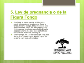 5. Ley de pregnancia o de la
Figura Fondo
 Establece el hecho de que el cerebro no
puede interpretar un objeto como figura o
fondo al mismo tiempo. El ojo reconoce una
figura sobre un fondo, sin embargo figura y
fondo pueden funcionar como fondo y figura
respectivamente. En este caso se habla de
una relación reversible o ambigua.
 En el logotipo del Zoo de Pittsburgh se puede
ver tanto la imagen de un árbol como la de
un gorila y un tigre enfrentados.
 