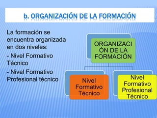 b. ORGANIZACIÓN DE LA FORMACIÓN
La formación se
encuentra organizada
en dos niveles:
- Nivel Formativo
Técnico
- Nivel Formativo
Profesional técnico
ORGANIZACI
ÓN DE LA
FORMACIÓN
Nivel
Formativo
Técnico
Nivel
Formativo
Profesional
Técnico
 