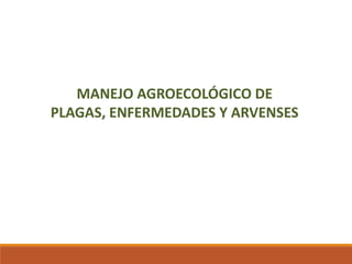 MANEJO AGROECOLÓGICO DE
PLAGAS, ENFERMEDADES Y ARVENSES
 