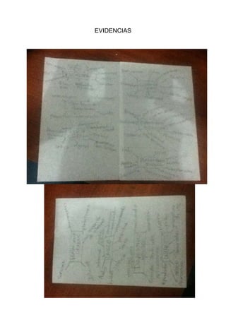EVIDENCIAS
 
