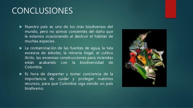 Conclusion De La Flora Y Fauna