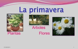 La primavera Arboles      Plantas                 Flores 1 08/04/2011 