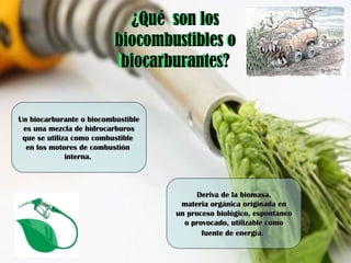 ¿Qué son los
biocombustibles o
biocarburantes?
¿Qué son los
biocombustibles o
biocarburantes?
Un biocarburante o biocombustibleUn biocarburante o biocombustible
es una mezcla de hidrocarburoses una mezcla de hidrocarburos
que se utiliza como combustibleque se utiliza como combustible
en los motores de combustiónen los motores de combustión
interna.interna.
Deriva de la biomasa,Deriva de la biomasa,
materia orgánica originada enmateria orgánica originada en
un proceso biológico, espontáneoun proceso biológico, espontáneo
o provocado, utilizable comoo provocado, utilizable como
fuente de energía.fuente de energía.
 