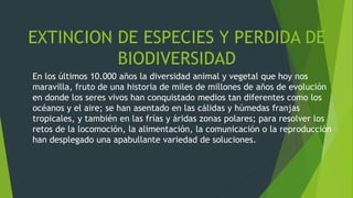 EXTINCION DE ESPECIES Y PERDIDA DE
BIODIVERSIDAD
En los últimos 10.000 años la diversidad animal y vegetal que hoy nos
maravilla, fruto de una historia de miles de millones de años de evolución
en donde los seres vivos han conquistado medios tan diferentes como los
océanos y el aire; se han asentado en las cálidas y húmedas franjas
tropicales, y también en las frías y áridas zonas polares; para resolver los
retos de la locomoción, la alimentación, la comunicación o la reproducción
han desplegado una apabullante variedad de soluciones.
 