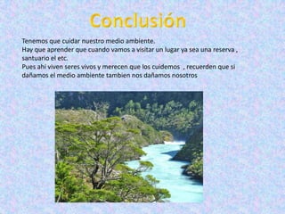 Tenemos que cuidar nuestro medio ambiente.
Hay que aprender que cuando vamos a visitar un lugar ya sea una reserva ,
santuario el etc.
Pues ahí viven seres vivos y merecen que los cuidemos , recuerden que si
dañamos el medio ambiente tambien nos dañamos nosotros
 