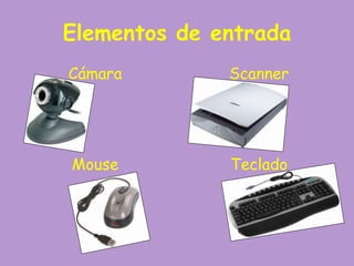 Elementos de entrada
Cámara
Mouse
Scanner
Teclado