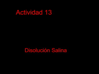 Actividad 13 Disolución Salina 