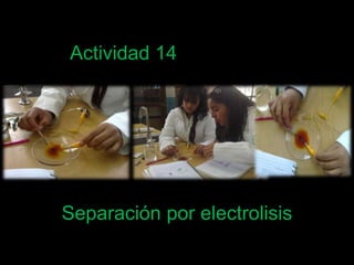 Actividad 14 Separación por electrolisis  